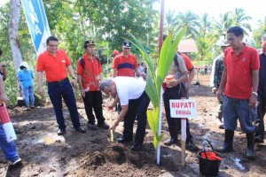 Pj. Gubernur Canangkan GSM di Koka, Bupati JWS Dan Ibu Tanam Pohon.
