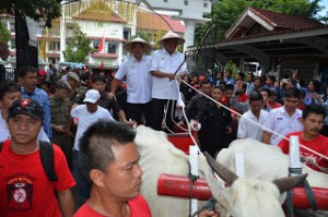 Gubernur Sulawesi Utara Utara Olly Dondokambey SE dan Wakil Gubernur Sulut Drs Steven Kandouw membuktikan diri bahwa kedua pemimpin baru Sulut ini sebagai anak petani. Buktinya saat menuju kantor Gubernur, Rabu (17/02) kemarin.