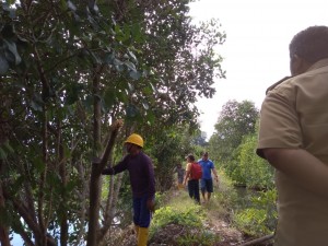 PEMBERSIHAN: Tampak para pekerja yang ada di Tambak Udang sementara melakukan pembersihan.