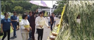 Kegiatan Pawai Pangan yang digelar sebelumnya di areal perkantoran Bupati Minut.