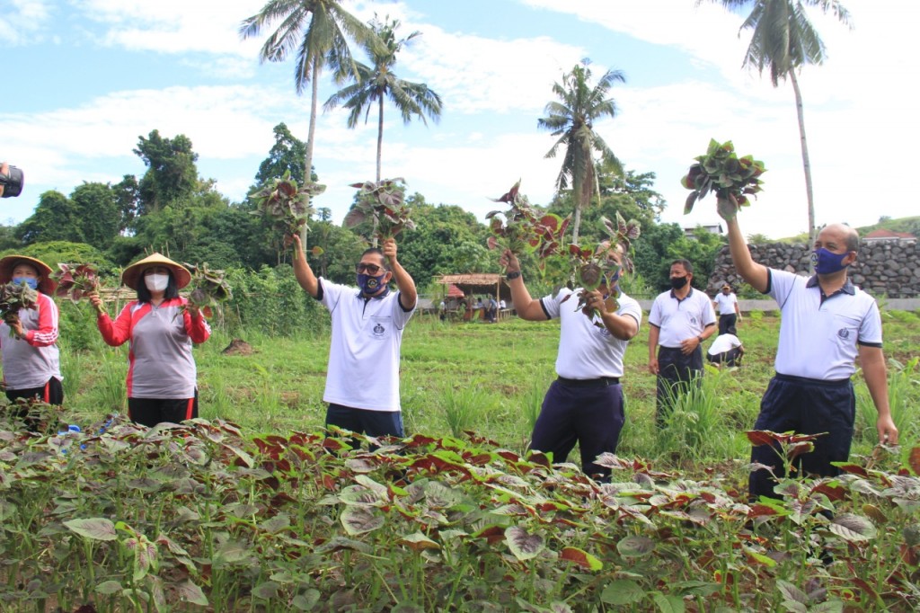 23-06-2020 FOTO TIGA BULAN DIGARAP LAHAN KETAHANAN PANGAN LANTAMAL VIII HASILKAN SAYURAN SEGAR (3)
