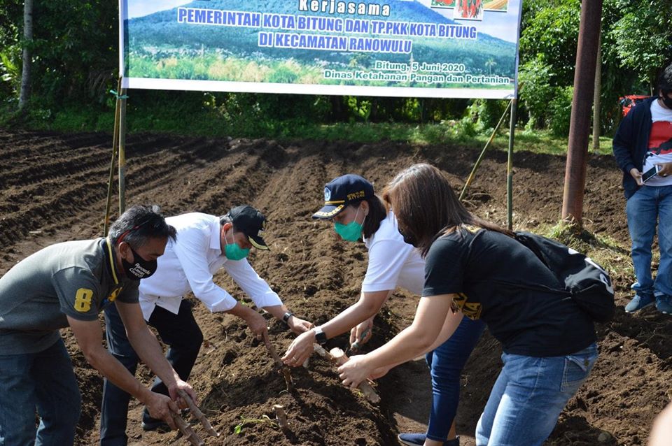 Wali Kota Bitung, Max J Lomban didampingi Ketua TP-PKK Kota Bitung, Khouni Lomban Rawung dan Camat Ranowulu, Dolfi Rumampuk, menanaman pada kebun Kecamatan Ranowulu, Jumat pekan lalu.