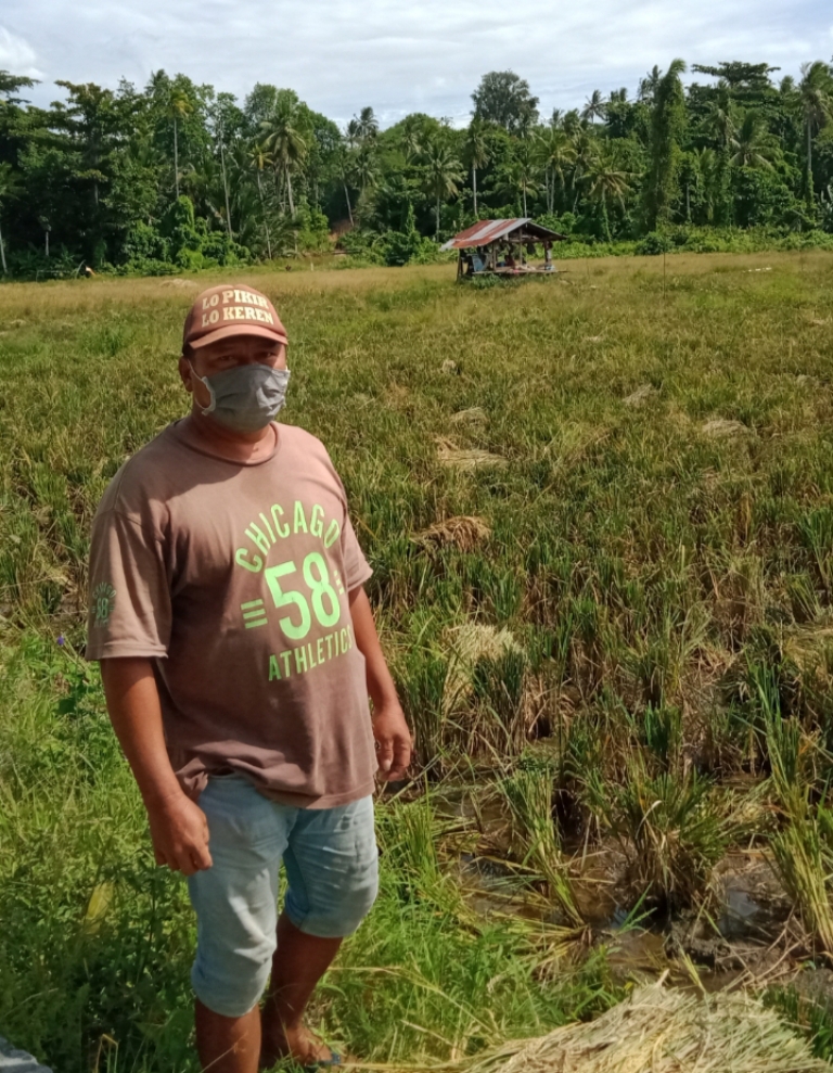 Hotman Rindu, Petani Minahasa Tenggara (Mitra)
