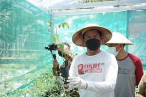 Bupati Joune Ganda terlihat mengangkat bibit rica yang sudah